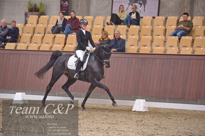 Blue Hors
dressur 6års kvl
Nøgleord: rgs finest alegra;josefine hoffmann
