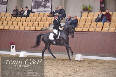 Blue Hors
dressur 6års kvl
Nøgleord: rgs finest alegra;josefine hoffmann