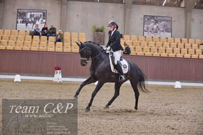 Blue Hors
dressur 6års kvl
Nøgleord: rgs finest alegra;josefine hoffmann