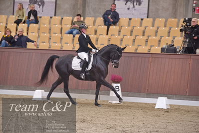 Blue Hors
dressur 6års kvl
Nøgleord: rgs finest alegra;josefine hoffmann