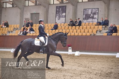 Blue Hors
dressur 6års kvl
Nøgleord: dantes delight;betina jæger jensen