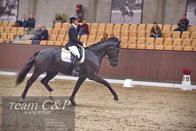 Blue Hors
dressur 6års kvl
Nøgleord: dantes delight;betina jæger jensen