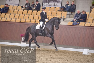 Blue Hors
dressur 6års kvl
Nøgleord: dantes delight;betina jæger jensen