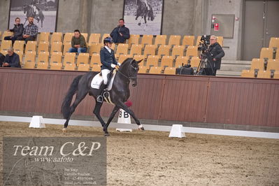 Blue Hors
dressur 6års kvl
Nøgleord: de angelo;merita hagren