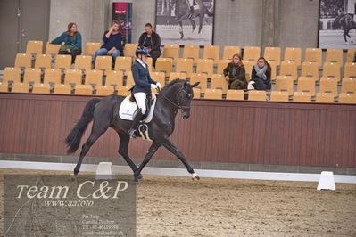 Blue Hors
dressur 6års kvl
Nøgleord: de angelo;merita hagren