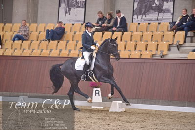 Blue Hors
dressur 6års kvl
Nøgleord: de angelo;merita hagren