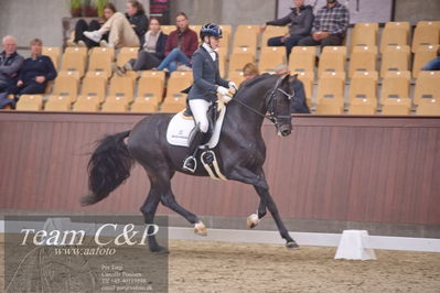 Blue Hors
dressur 6års kvl
Nøgleord: de angelo;merita hagren