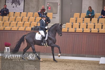 Blue Hors
dressur 6års kvl
Nøgleord: de angelo;merita hagren