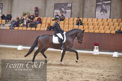 Blue Hors
dressur 6års kvl
Nøgleord: stenagers faramir dwb;cecilie lyndrup