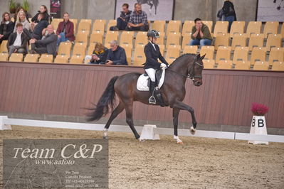 Blue Hors
dressur 6års kvl
Nøgleord: stenagers faramir dwb;cecilie lyndrup