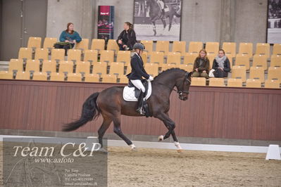 Blue Hors
dressur 6års kvl
Nøgleord: stenagers faramir dwb;cecilie lyndrup
