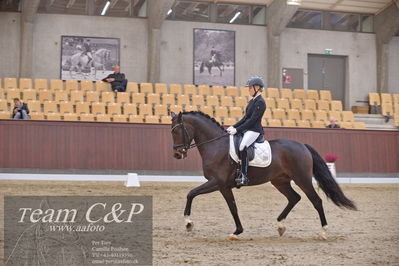 Blue Hors
dressur 6års kvl
Nøgleord: stenagers faramir dwb;cecilie lyndrup