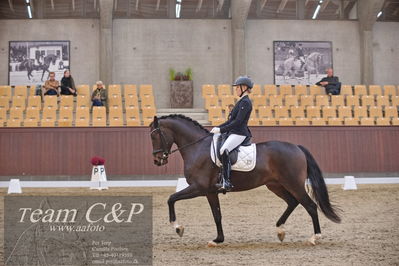 Blue Hors
dressur 6års kvl
Nøgleord: stenagers faramir dwb;cecilie lyndrup