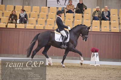 Blue Hors
dressur 6års kvl
Nøgleord: suarez;alan grøn