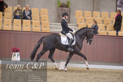 Blue Hors
dressur 6års kvl
Nøgleord: suarez;alan grøn