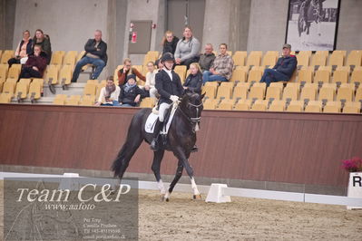 Blue Hors
dressur 6års kvl
Nøgleord: suarez;alan grøn