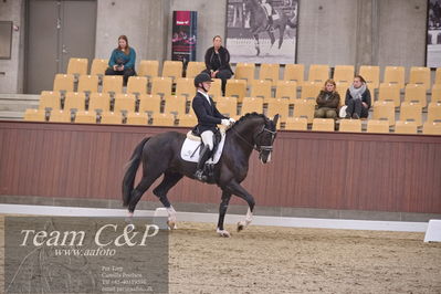 Blue Hors
dressur 6års kvl
Nøgleord: suarez;alan grøn