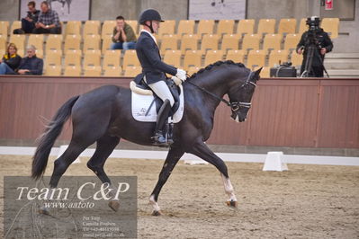 Blue Hors
dressur 6års kvl
Nøgleord: suarez;alan grøn