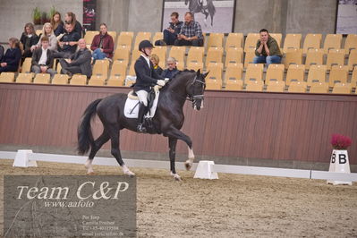 Blue Hors
dressur 6års kvl
Nøgleord: suarez;alan grøn