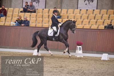 Blue Hors
dressur 6års kvl
Nøgleord: suarez;alan grøn