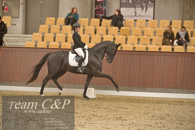 Blue Hors
dressur 6års kvl
Nøgleord: grand galiano;rikke dupont