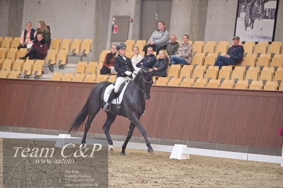 Blue Hors
dressur 6års kvl
Nøgleord: grand galiano;rikke dupont