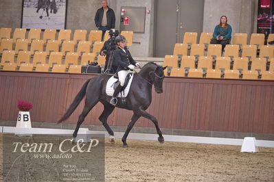 Blue Hors
dressur 6års kvl
Nøgleord: grand galiano;rikke dupont