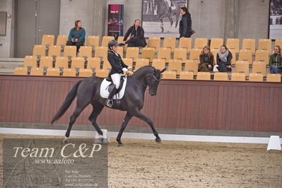 Blue Hors
dressur 6års kvl
Nøgleord: grand galiano;rikke dupont