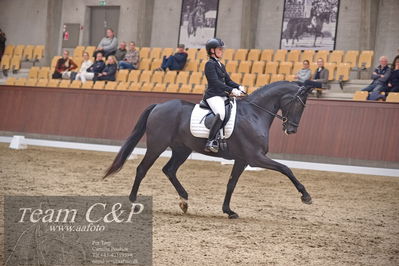 Blue Hors
dressur 6års kvl
Nøgleord: grand galiano;rikke dupont