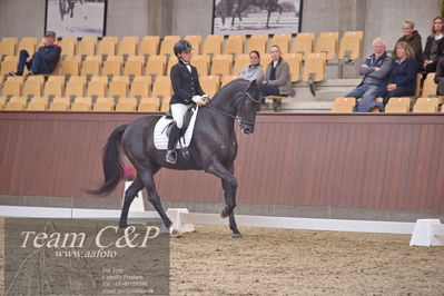 Blue Hors
dressur 6års kvl
Nøgleord: grand galiano;rikke dupont
