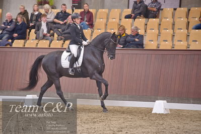 Blue Hors
dressur 6års kvl
Nøgleord: grand galiano;rikke dupont