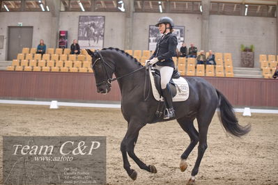 Blue Hors
dressur 6års kvl
Nøgleord: grand galiano;rikke dupont