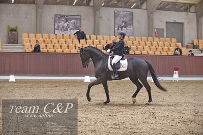 Blue Hors
dressur 6års kvl
Nøgleord: grand galiano;rikke dupont