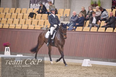 Blue Hors
dressur 6års kvl
Nøgleord: nordstrands caramello;michael nielsen