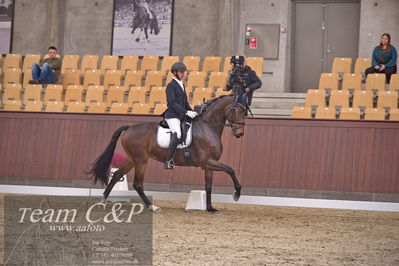Blue Hors
dressur 6års kvl
Nøgleord: nordstrands caramello;michael nielsen