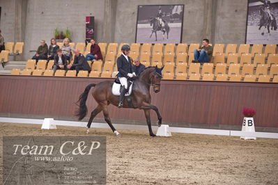 Blue Hors
dressur 6års kvl
Nøgleord: nordstrands caramello;michael nielsen
