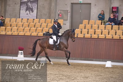 Blue Hors
dressur 6års kvl
Nøgleord: nordstrands caramello;michael nielsen