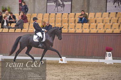 Blue Hors
dressur 6års kvl
Nøgleord: best og mount st john old;maria falkner hansen