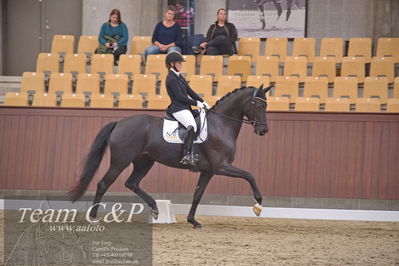 Blue Hors
dressur 6års kvl
Nøgleord: best og mount st john old;maria falkner hansen