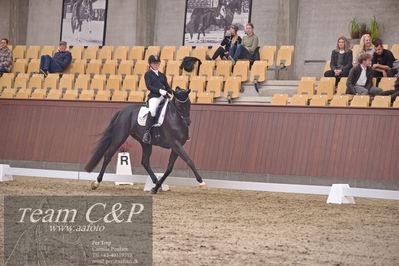 Blue Hors
dressur 6års kvl
Nøgleord: best og mount st john old;maria falkner hansen