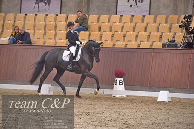 Blue Hors
dressur 6års kvl
Nøgleord: best og mount st john old;maria falkner hansen