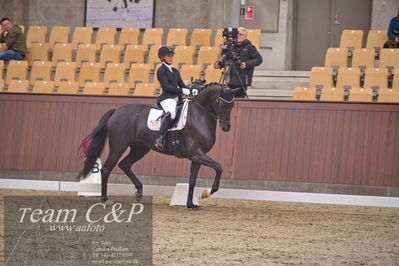 Blue Hors
dressur 6års kvl
Nøgleord: best og mount st john old;maria falkner hansen