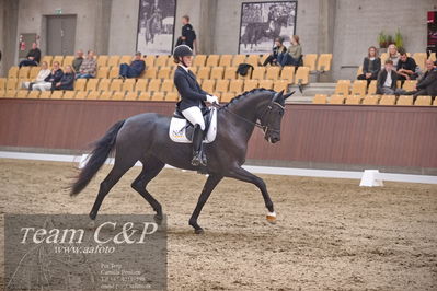 Blue Hors
dressur 6års kvl
Nøgleord: best og mount st john old;maria falkner hansen