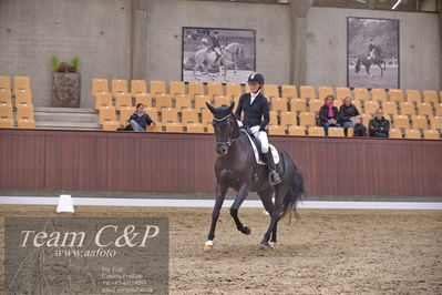 Blue Hors
dressur 6års kvl
Nøgleord: best og mount st john old;maria falkner hansen