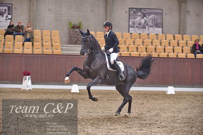 Blue Hors
dressur 6års kvl
Nøgleord: best og mount st john old;maria falkner hansen