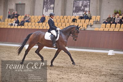 Blue Hors
dressur 6års kvl
Nøgleord: kgs hørgaardsfresco;lotte wiuff straarip