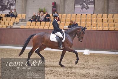 Blue Hors
dressur 6års kvl
Nøgleord: kgs hørgaardsfresco;lotte wiuff straarip