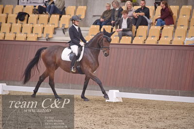 Blue Hors
dressur 6års kvl
Nøgleord: kgs hørgaardsfresco;lotte wiuff straarip