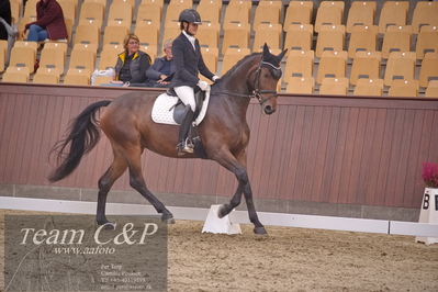 Blue Hors
dressur 6års kvl
Nøgleord: kgs hørgaardsfresco;lotte wiuff straarip