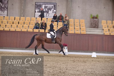 Blue Hors
dressur 6års kvl
Nøgleord: kgs hørgaardsfresco;lotte wiuff straarip